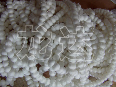 <b>纖維球生產(chǎn)</b>
